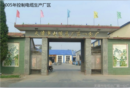 公司实力
