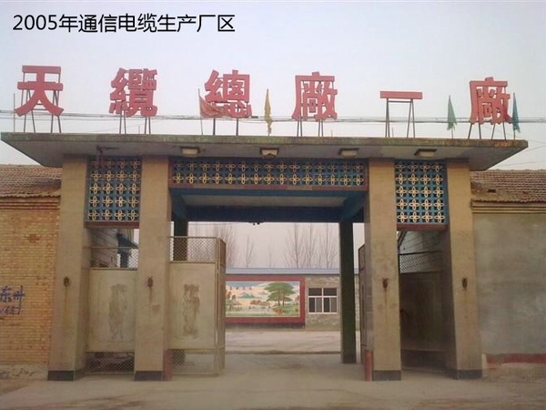 公司实力