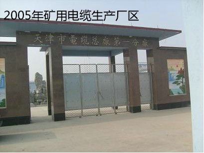 公司实力
